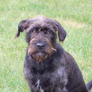 Fundraising Page: Ashlynn Ruetz